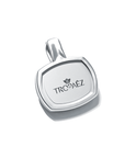 Lion’s Resolve Pendant in Sterling Silver by Tropaêz, featuring a lion intaglio, symbol of strength--back view includes the Tropaêz branding.